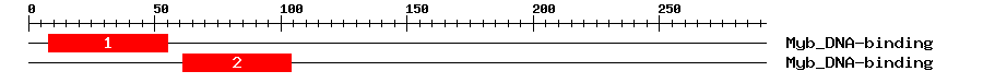 Signature Domain