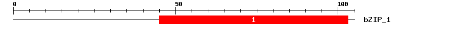 Signature Domain