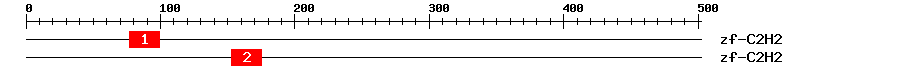 Signature Domain