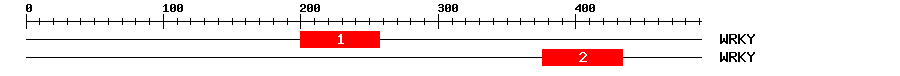 Signature Domain