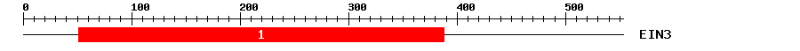 Signature Domain