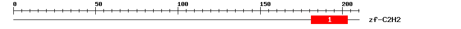 Signature Domain