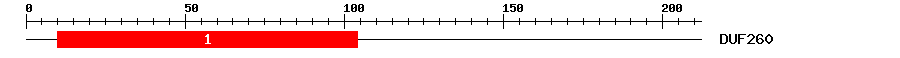 Signature Domain