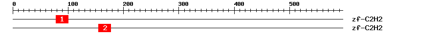 Signature Domain