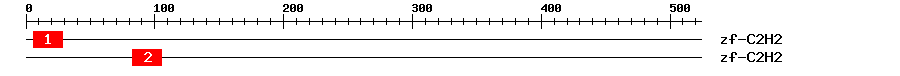 Signature Domain