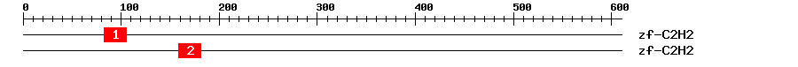 Signature Domain