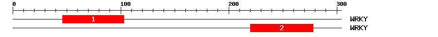 Signature Domain