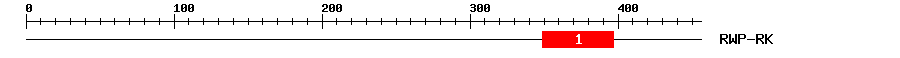 Signature Domain