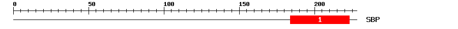 Signature Domain