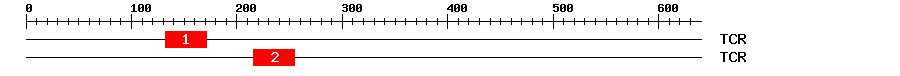 Signature Domain