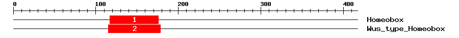Signature Domain