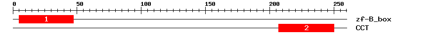 Signature Domain