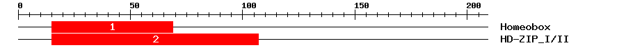 Signature Domain