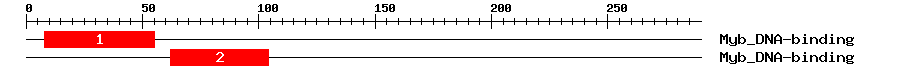 Signature Domain