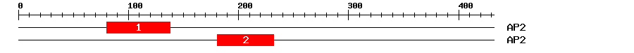 Signature Domain