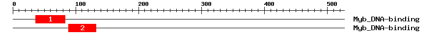 Signature Domain