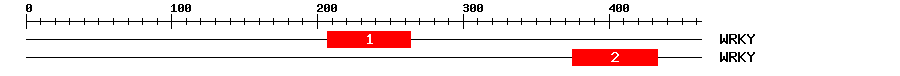 Signature Domain