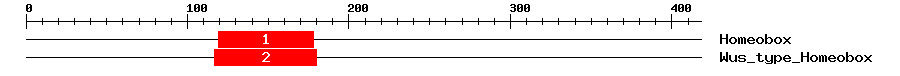 Signature Domain