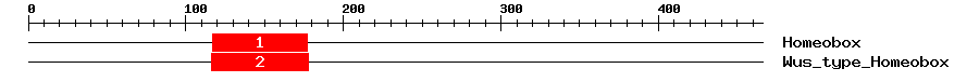 Signature Domain