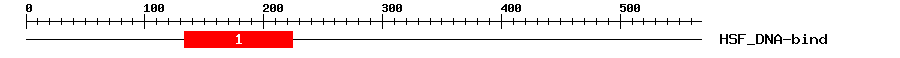 Signature Domain
