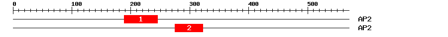 Signature Domain
