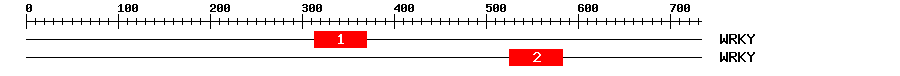 Signature Domain