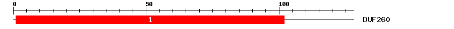Signature Domain