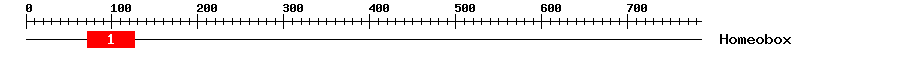 Signature Domain