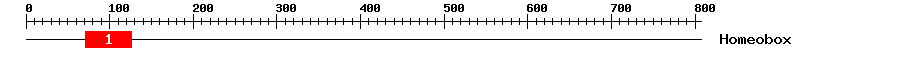 Signature Domain