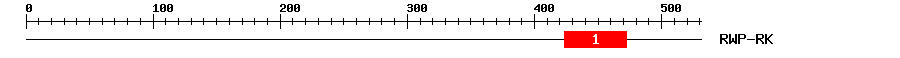 Signature Domain