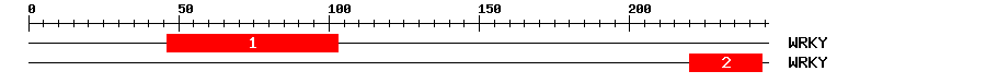 Signature Domain