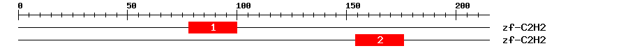 Signature Domain
