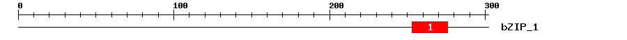 Signature Domain