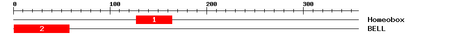 Signature Domain