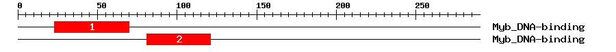 Signature Domain