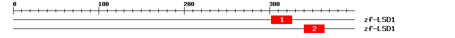 Signature Domain