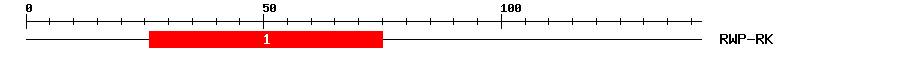 Signature Domain