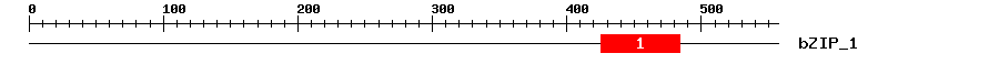 Signature Domain