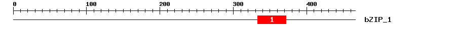 Signature Domain