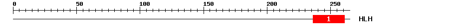 Signature Domain