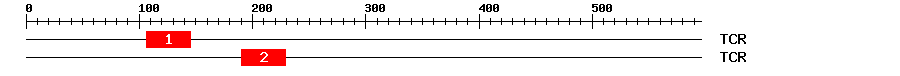 Signature Domain