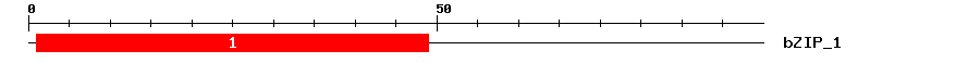 Signature Domain