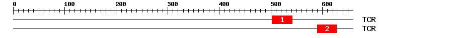 Signature Domain
