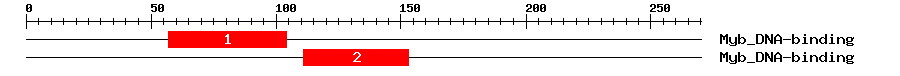 Signature Domain