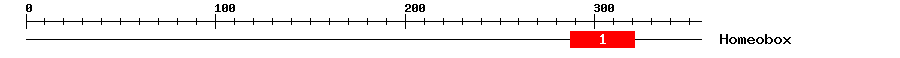 Signature Domain