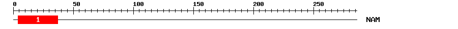 Signature Domain