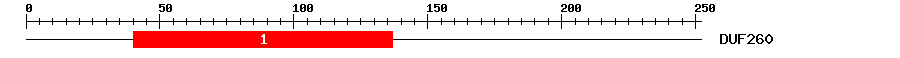 Signature Domain