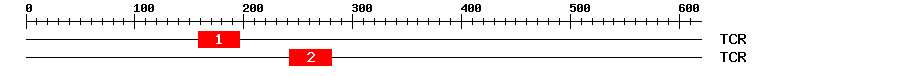 Signature Domain
