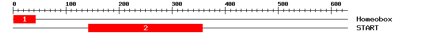 Signature Domain