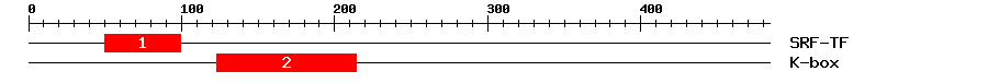 Signature Domain